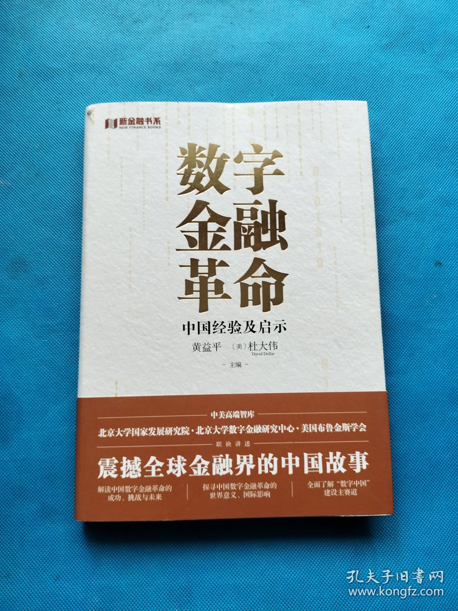 数字金融革命：中国经验及启示 全方位了解中国的数字金融发展【书内干净】