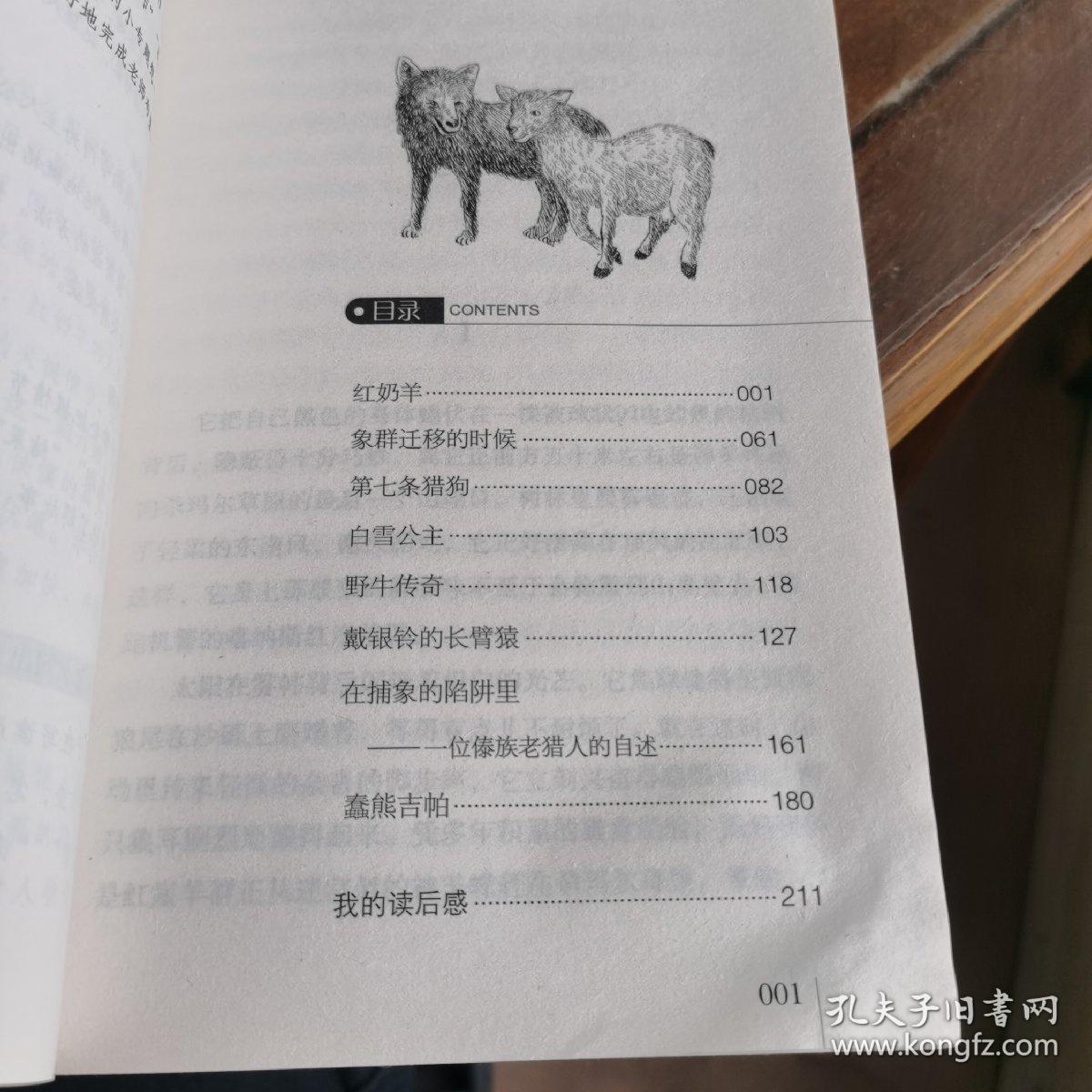 曹文轩推荐儿童文学经典书系 第七条猎狗