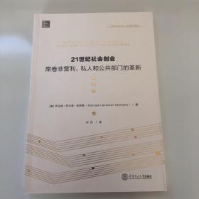 21世纪社会创业：席卷非营利、私人和公共部门的革新