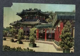 名信片，中山公园唐花坞（单张）