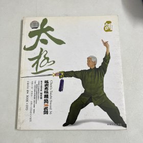 陈式太极精简36式剑