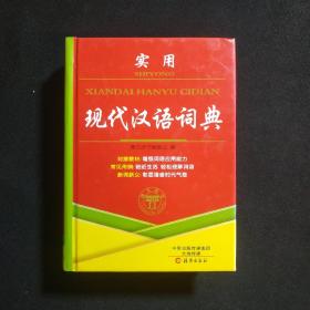 实用现代汉语词典