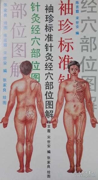 袖珍标准针灸经穴部位图解
（活页袋装全40张，图解共38幅）