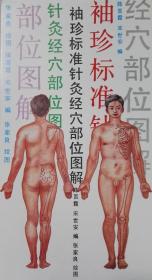 袖珍标准针灸经穴部位图解
（活页袋装全40张，图解共38幅）