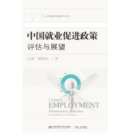 中国就业促进政策 9787565443527