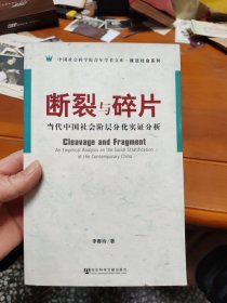 断裂与碎片：当代中国社会阶层分化实证分析