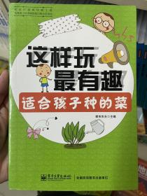 这样玩最有趣：适合孩子种的菜（全彩）