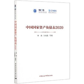 中国国家资产负债表2020