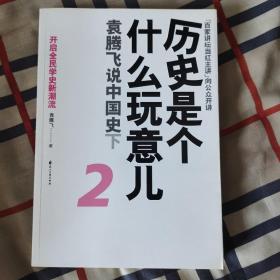 历史是个什么玩意儿2：袁腾飞说中国史下