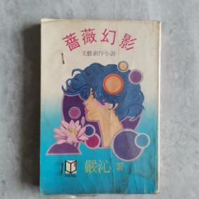 《蔷薇幻影》文艺创作小说 严沁著 1984年初版 环球图书杂志出版社