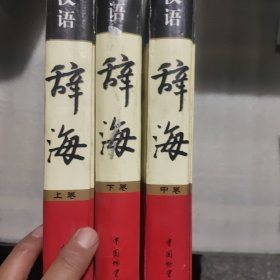 现代汉语辞海（全三册）