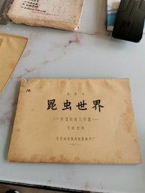 昆虫世界 身体构造与功能 完成台本