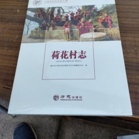 荷花村志/中国名村志文化工程