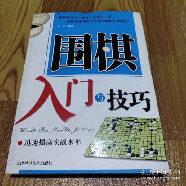 围棋入门与技巧