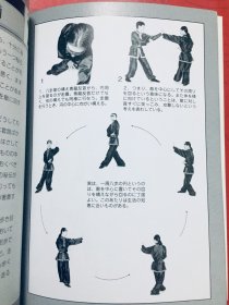 八卦掌（原版）配同步教学光盘