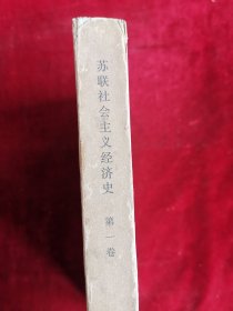 苏联社会主义经济史 第一卷 1917-1920年苏维埃经济