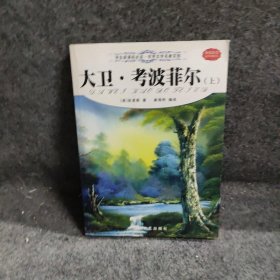 鲁滨逊漂流记