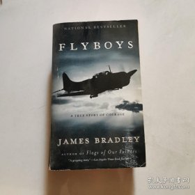 Flyboys: A True Story of Courage