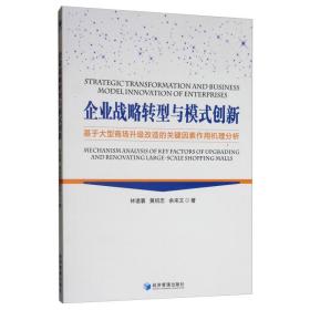 企业战略转型与模式创新 基于大型商场升级改造的关键因素作用机理分析 社科其他 林诸寰,黄绍忠,余来文