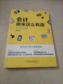 【接近全新】会计原来这么有趣：中级实务篇