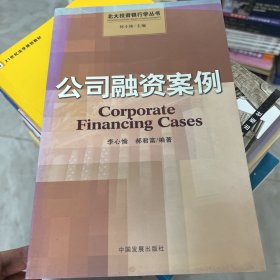 公司融资案例