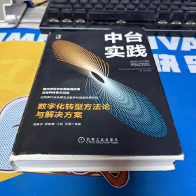 中台实践：数字化转型方法论与解决方案