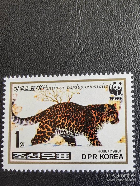 朝鲜邮票。货号1191。远东豹（学名：Panthera pardus orientalis）是食肉目猫科豹属哺乳动物，头小而圆，耳短，躯体均匀，四肢中长，趾行性，犬齿及裂齿极发达，皮毛柔软光滑，常具显著花纹。远东豹广泛分布于俄罗斯东南部，在中国分布于东北黑龙江流域森林中。远东豹是世界上严重濒危大型猫科动物之一，其种群一直未超过100只，濒危状况已引起全球关注。远东豹是中国国家一级保护动物。