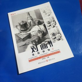 对画II——素描静物②(平装正版新书现货 实拍图 )