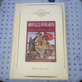 钢铁是怎样炼成的——新课标 长江名著名译（世界文学名著名译典藏 全译插图本）