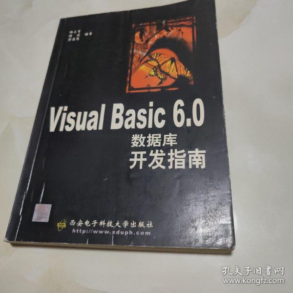 Visual Basic 6.0数据库开发指南