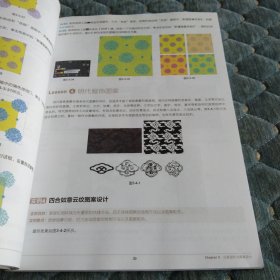 Illustrator汉服款式设计与表现 缠枝花图案设计、宝相花图案设计、中衣的款式设计、玄端的款式设计：绛纱的款式设计、曳撒的款式设计 汉服款式 汉服设计