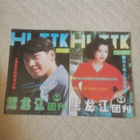黑龙江团刊1993/10/11期