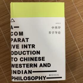 中西印哲学导论（著名哲学学者张祥龙教授新作，当代儒家哲学的代表学者的集大成之作）