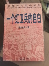 一个红卫兵的自白