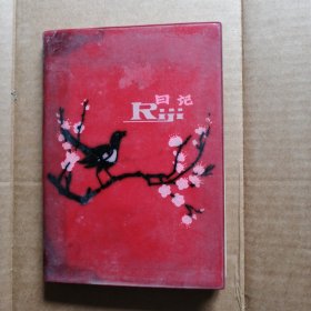 七十年代济南大明湖插图日记本