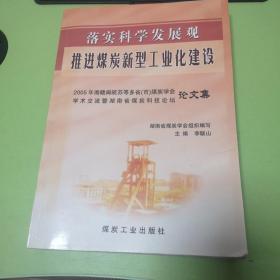 落實(shí)科學(xué)發(fā)展觀推進(jìn)煤炭新型工業(yè)化建設(shè):2005年湘贛閩皖蘇等多省(市)煤炭學(xué)會(huì)學(xué)術(shù)交流暨湖南省煤炭科技論壇論文集