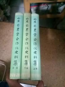 山东省农业合作化史料集（上下，续）