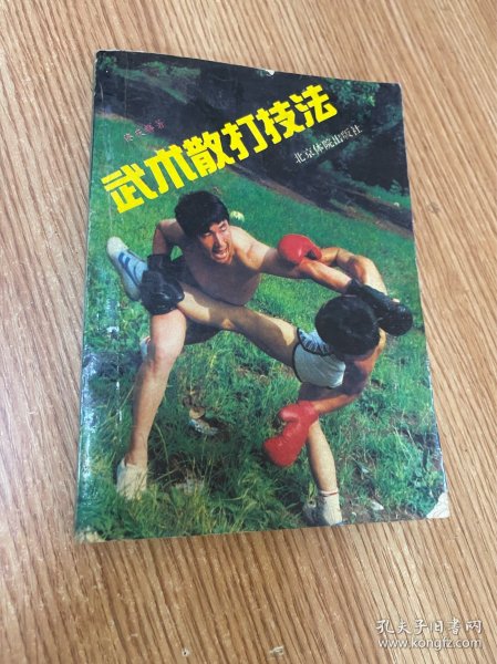 武术散打技法