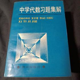 中学代数习题集解