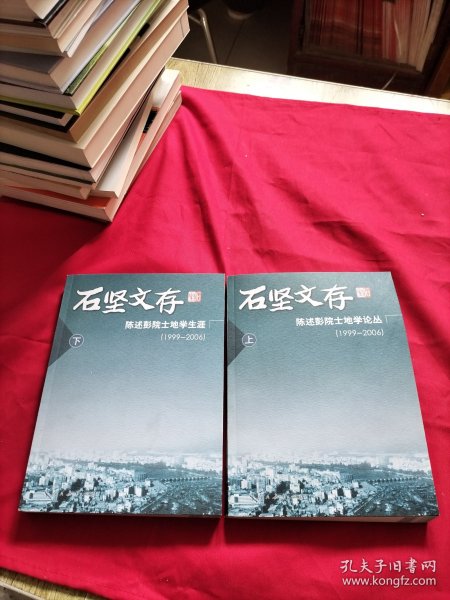 石坚文存：陈述彭院土地学论丛（1999-2006 上 下册）