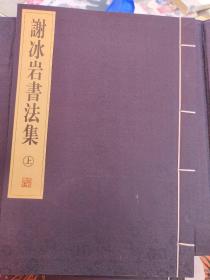 谢冰岩书法集   上下册