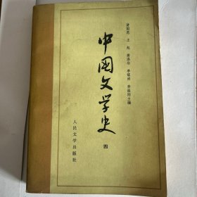 中国文学史（四）
