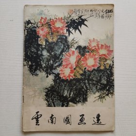 云南国画选