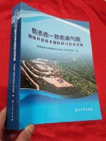 低渗透—致密油气田勘探开发技术国际研讨会论文集   （大16开）
