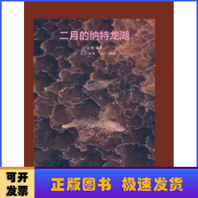 二月的纳特龙湖