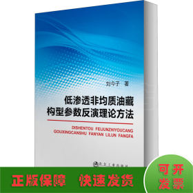 低渗透非均质油藏构型参数反演理论方法