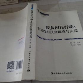 反贫困在行动：中国农村扶贫调查与实践（智库书系）