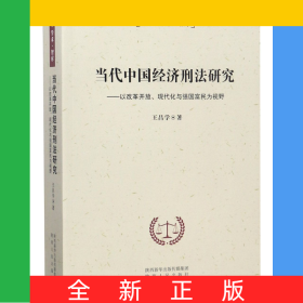 當代中國經濟刑法研究--以改革開放現代化與強國富民為視野/社科學術智庫