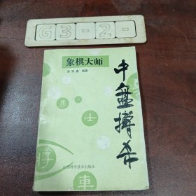 象棋大师中盘搏杀