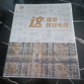 这，就是辉煌电网